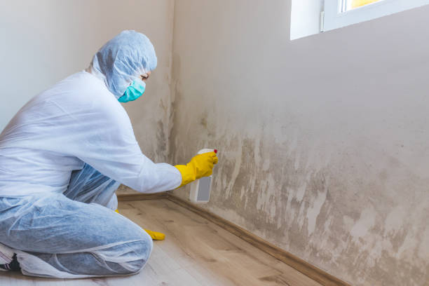 Licensed Mold Remediation service in Annapolis, MD - 24 Hour Mold Removal