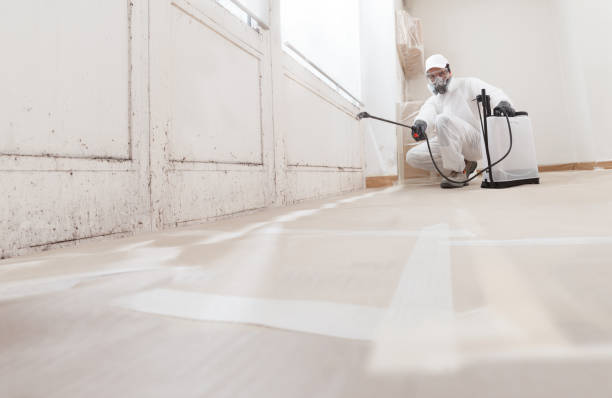 24/7 Emergency Mold Remediation experts in Annapolis, MD