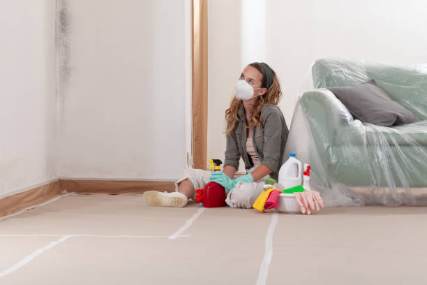 Reliable Mold Remediation contractor in Annapolis, MD by 24 Hour Mold Removal